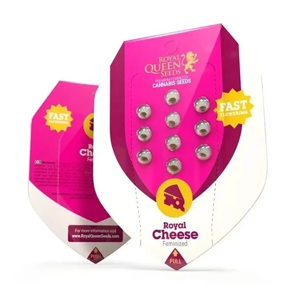Royal Cheese Fast Fem -Royal Queen Seeds (X10/X3/X1) 3