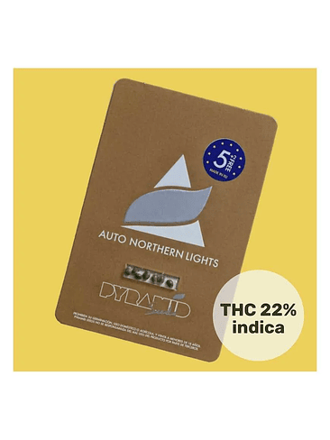 Northern Lights Auto -Pyramid Seeds (X50/X5+2/X3+1/X1) 3