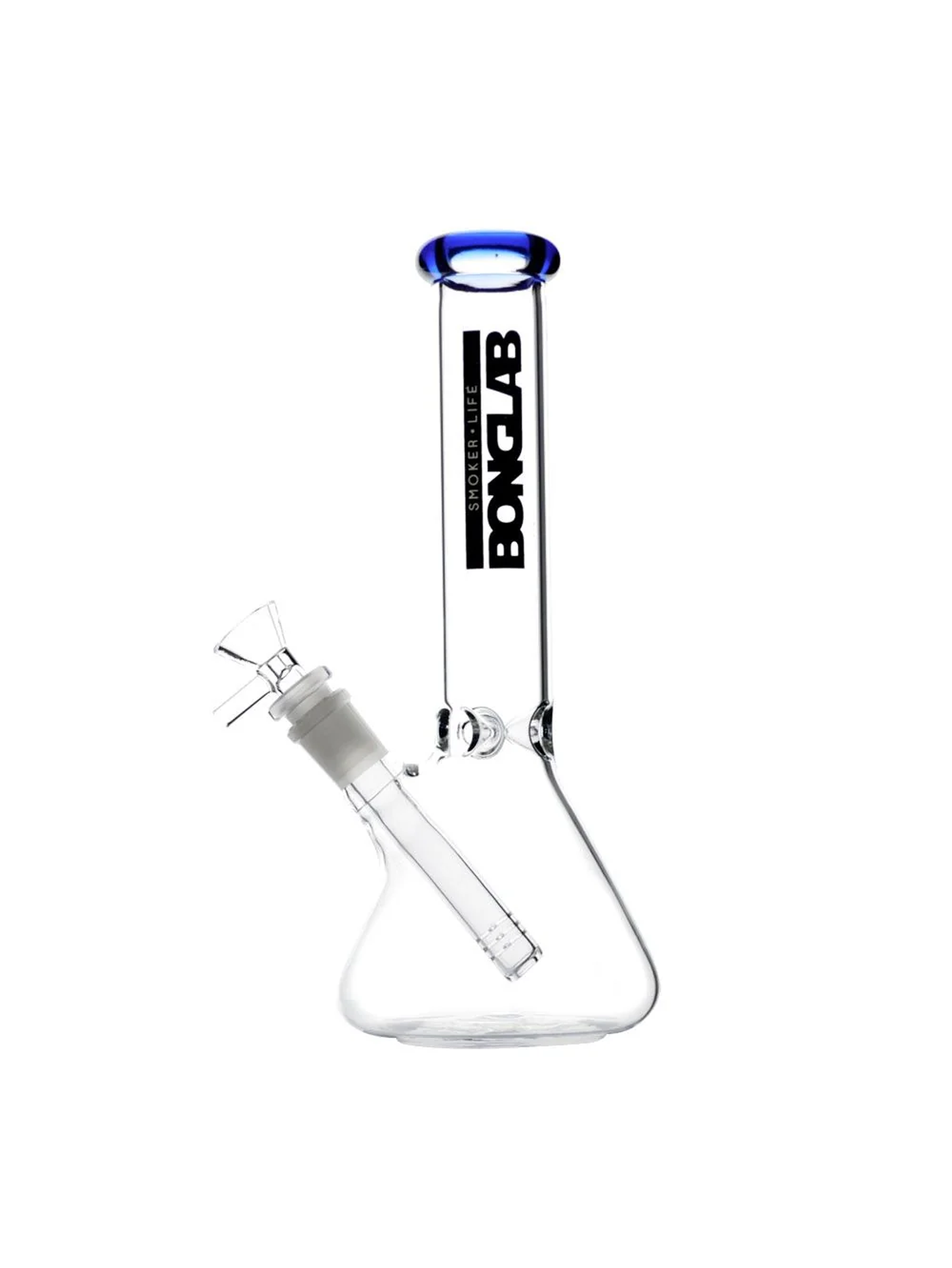 Little Buchner-Bonglab 2