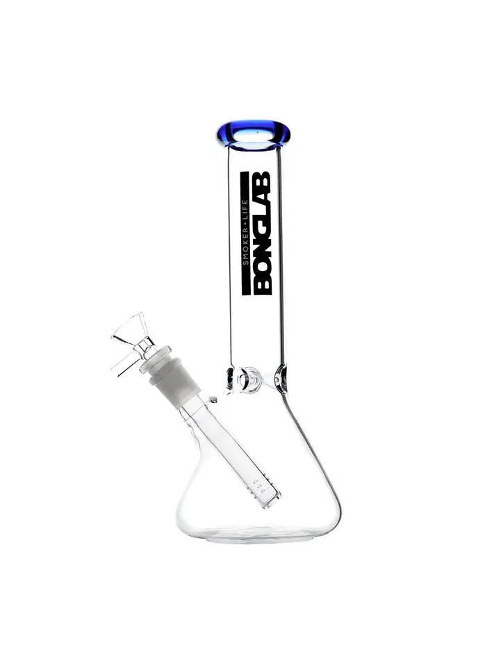 Little Buchner-Bonglab 2