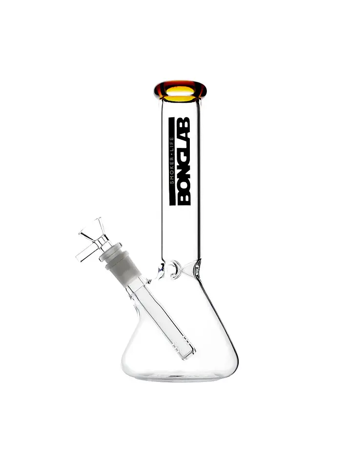 Little Buchner-Bonglab 5