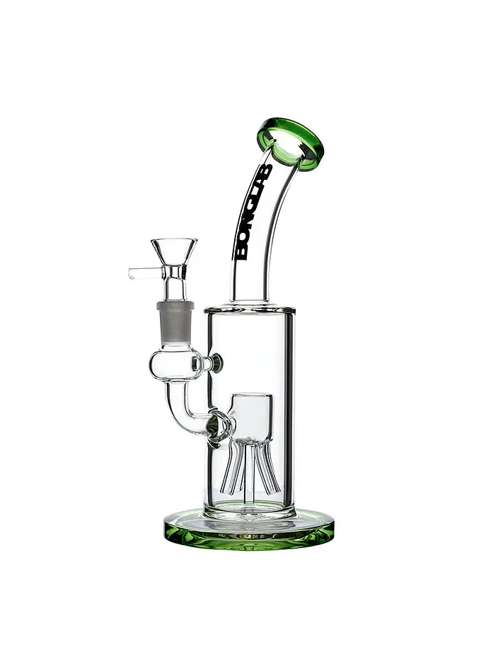 Dream Rig-Bonglab 4