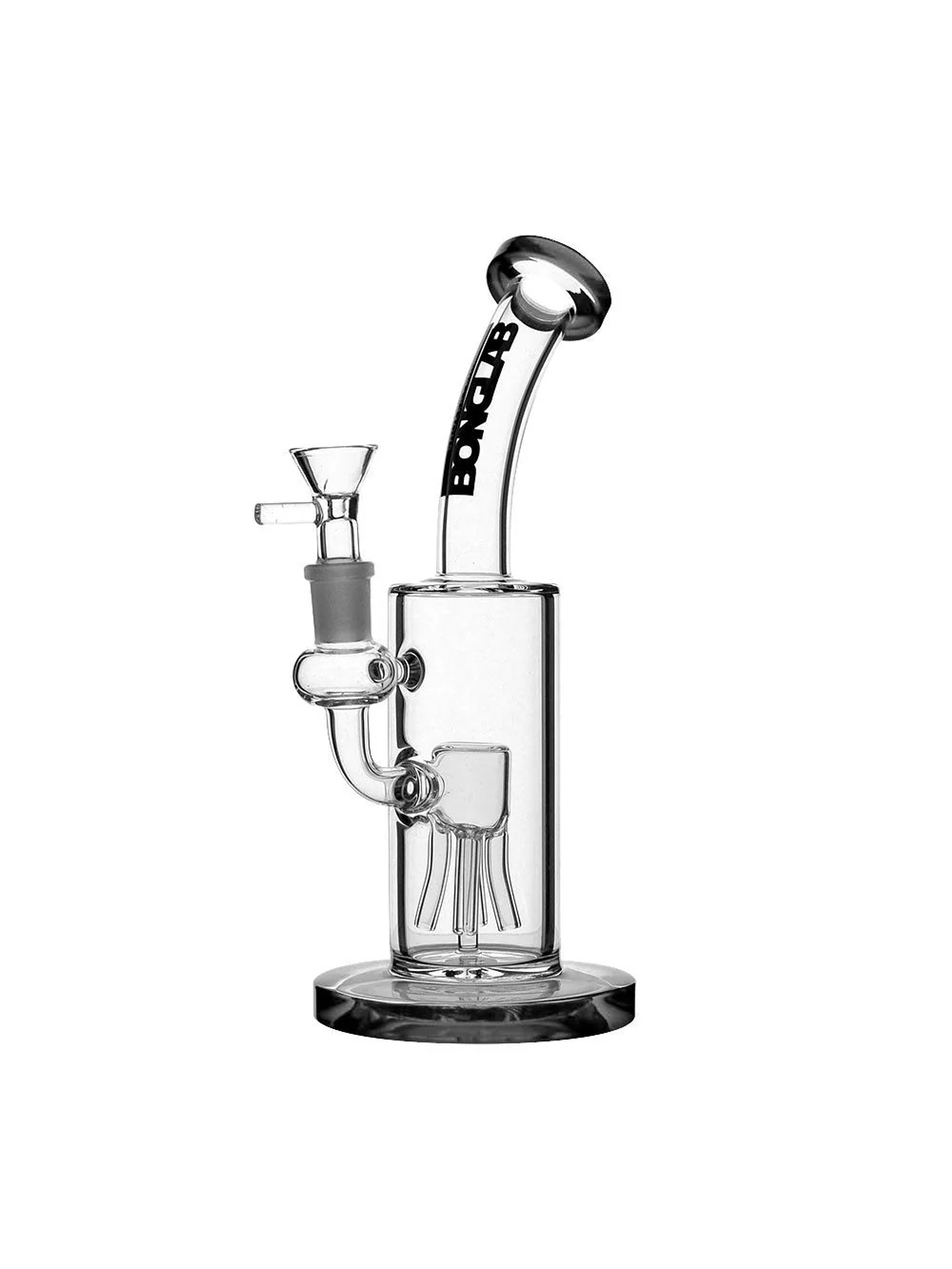 Dream Rig-Bonglab 8
