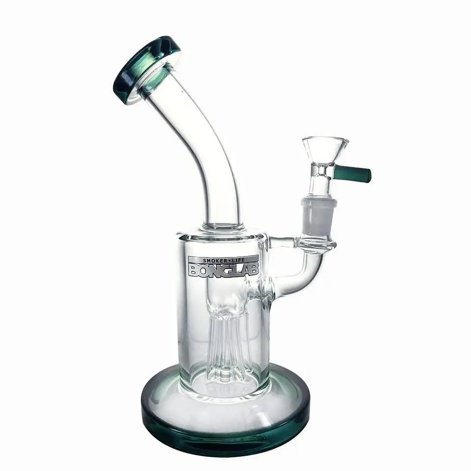 Dream Rig X4 -Bonglab 2