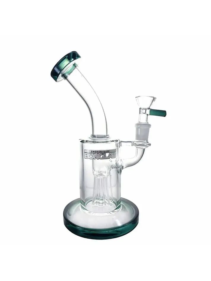 Dream Rig X4 -Bonglab 3