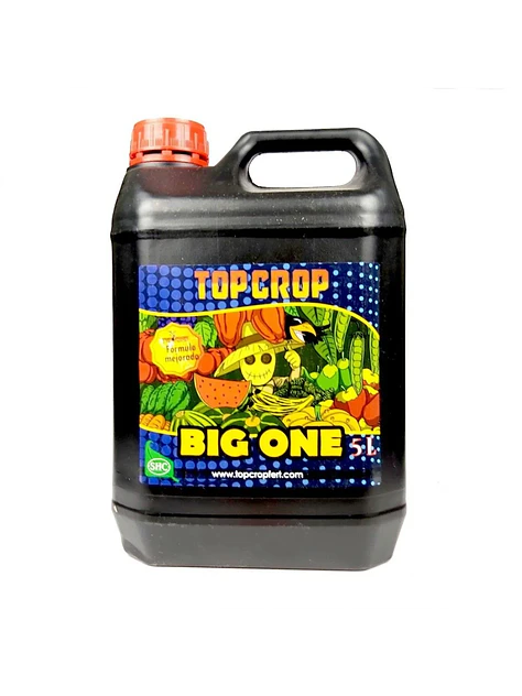 Big One -Top Crop 2
