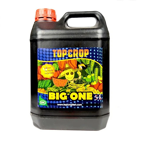 Big One -Top Crop