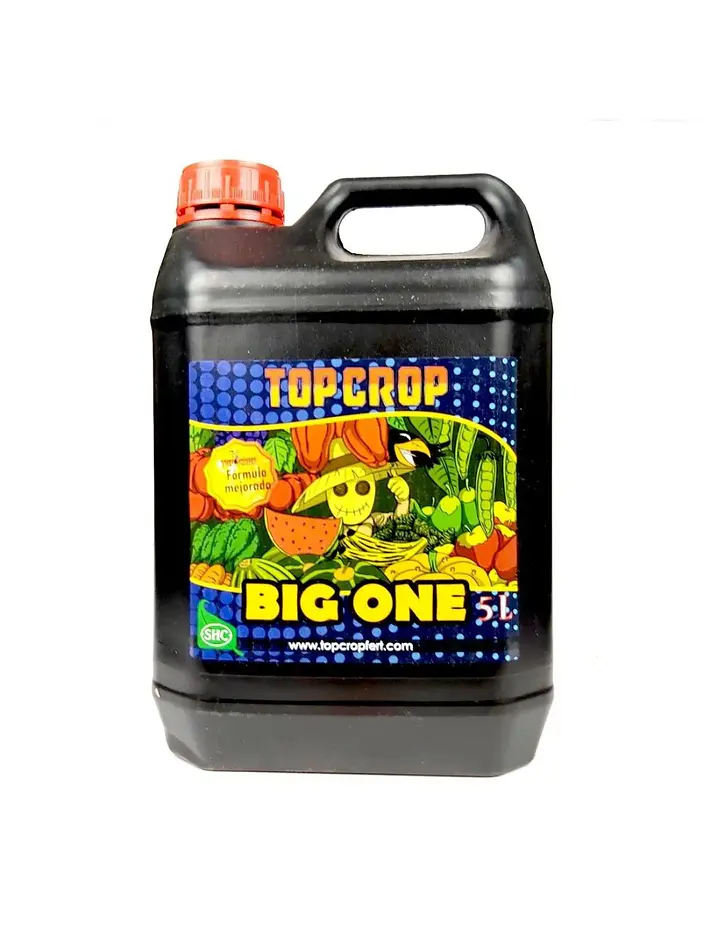 Big One -Top Crop 2