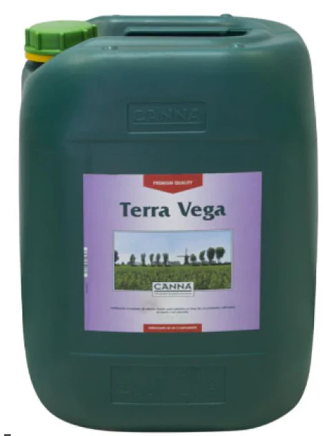 Terra Vega -Canna 2