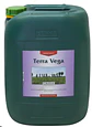 Terra Vega -Canna - Miniatura 2