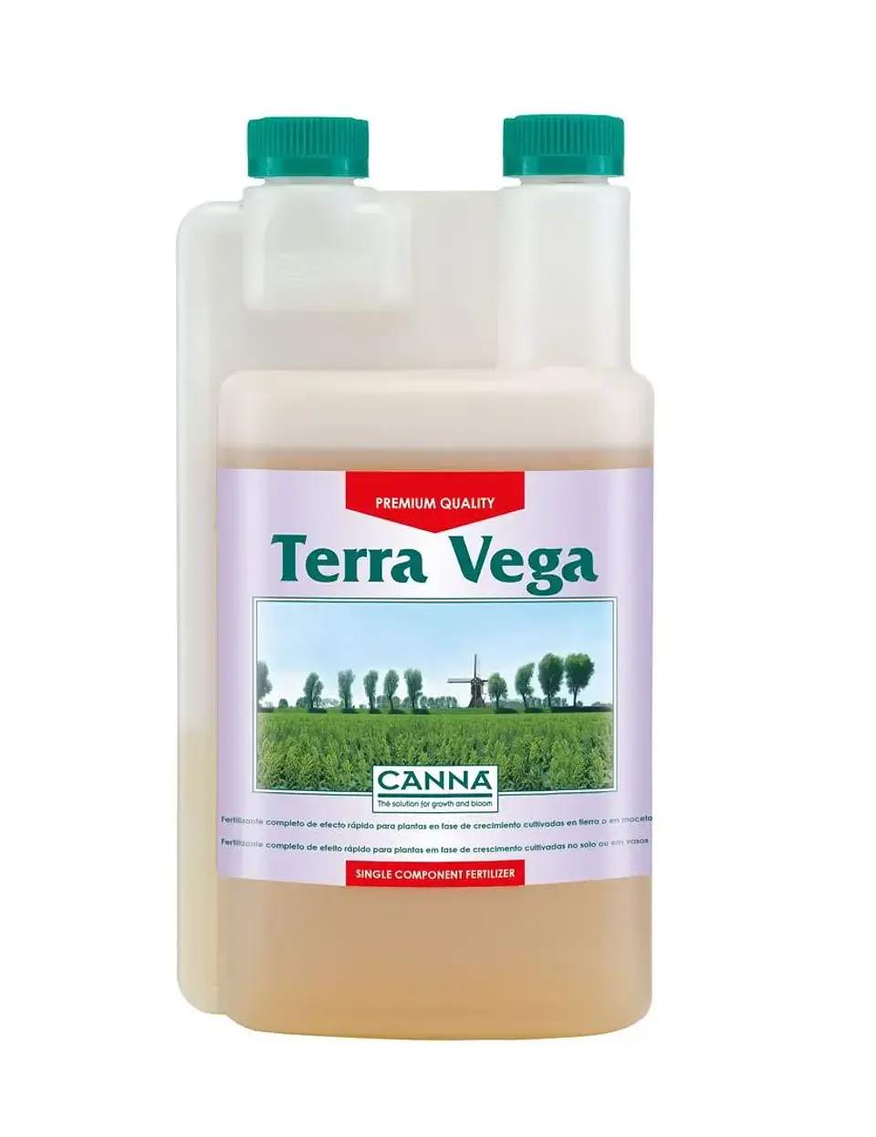 Terra Vega -Canna 3