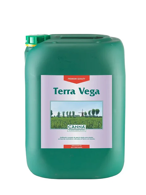 Terra Vega -Canna 4