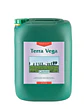 Terra Vega -Canna - Miniatura 4