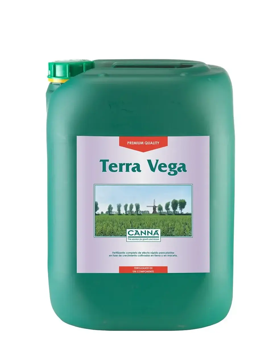 Terra Vega -Canna 4