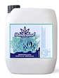 Fertilizante Radicular Vegetativo A 250Ml-Wonderland - Miniatura 2