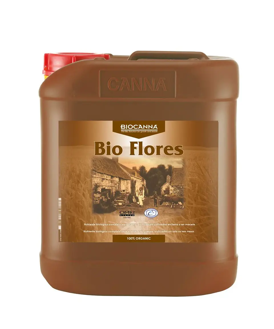 Bio Flores -Canna 3