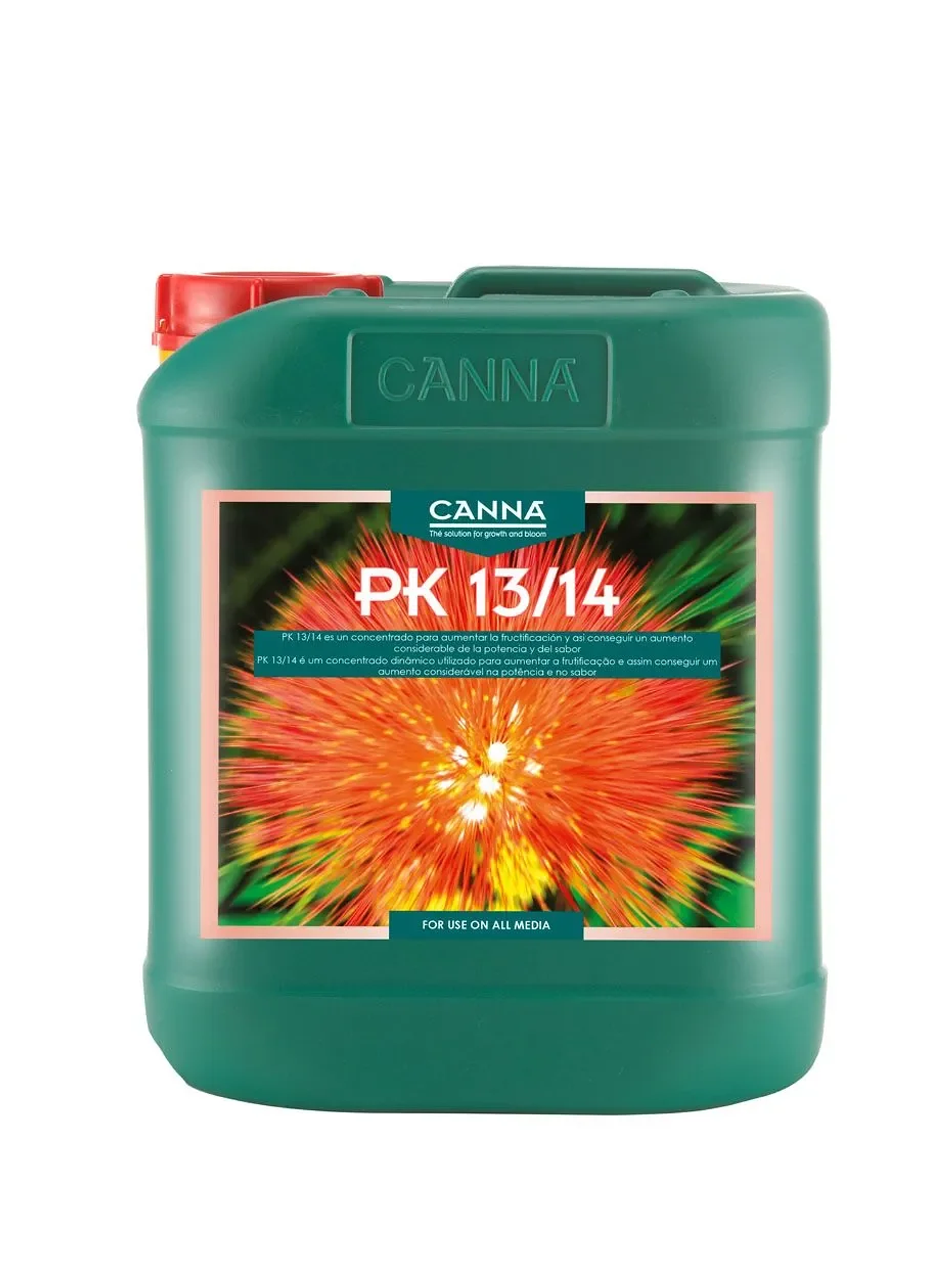 Pk 13/14 1Lt-Canna 3