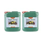 Aqua Flores A+B-Canna - Miniatura 4