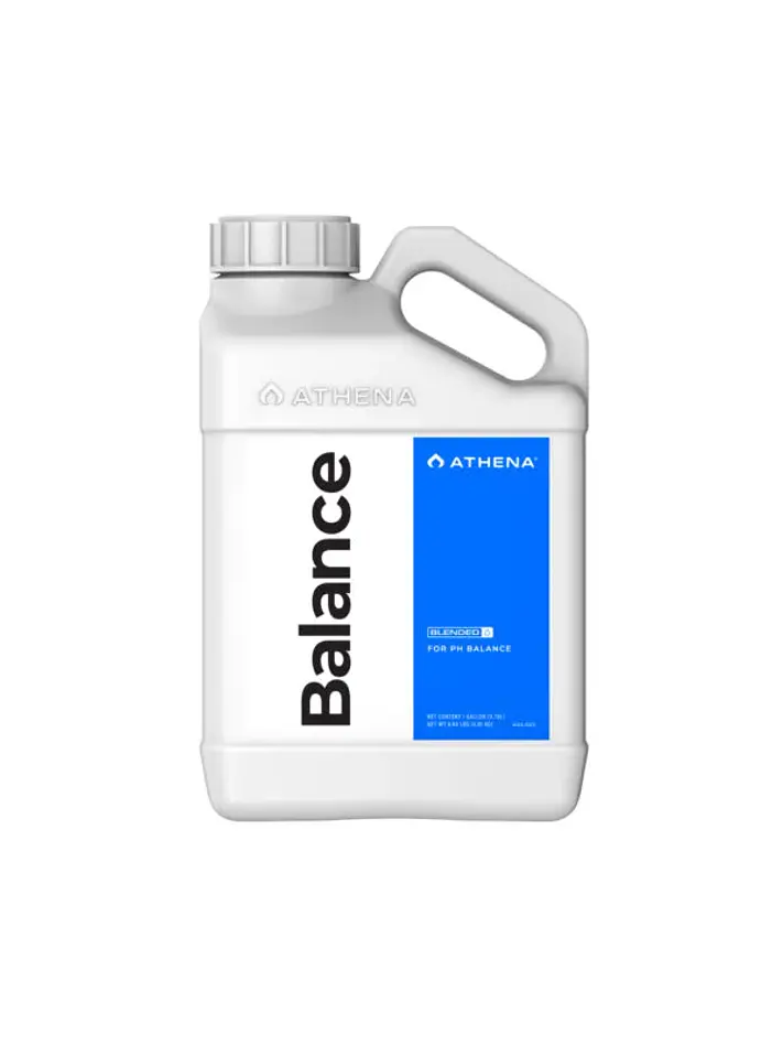 Balance-Athena 3