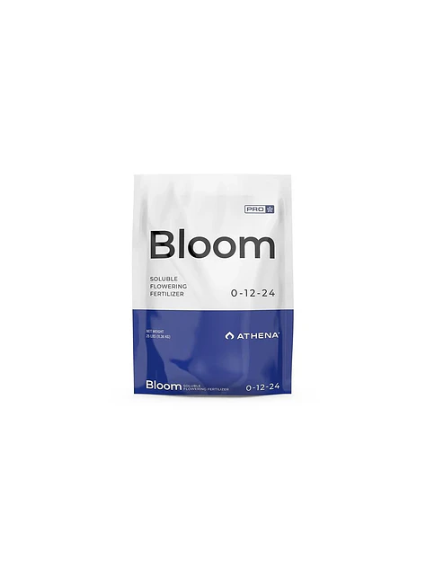 Pro Line Bloom -Athena 2