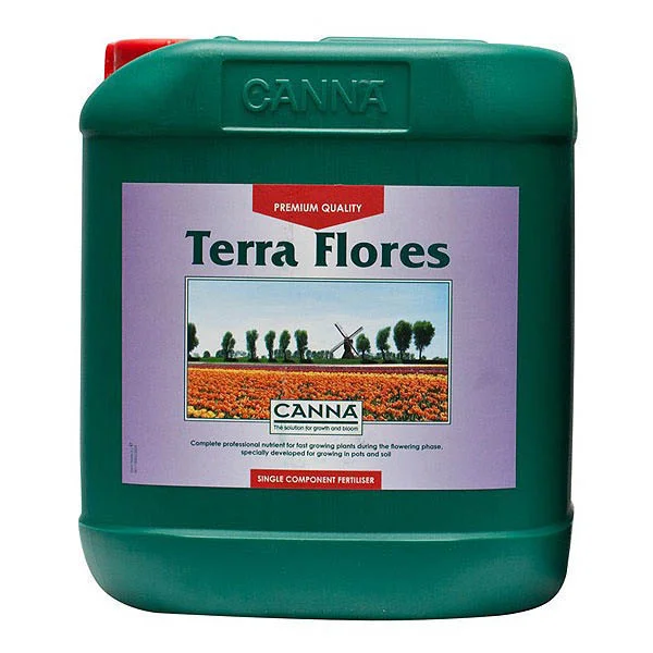Terra Flores -Canna 3