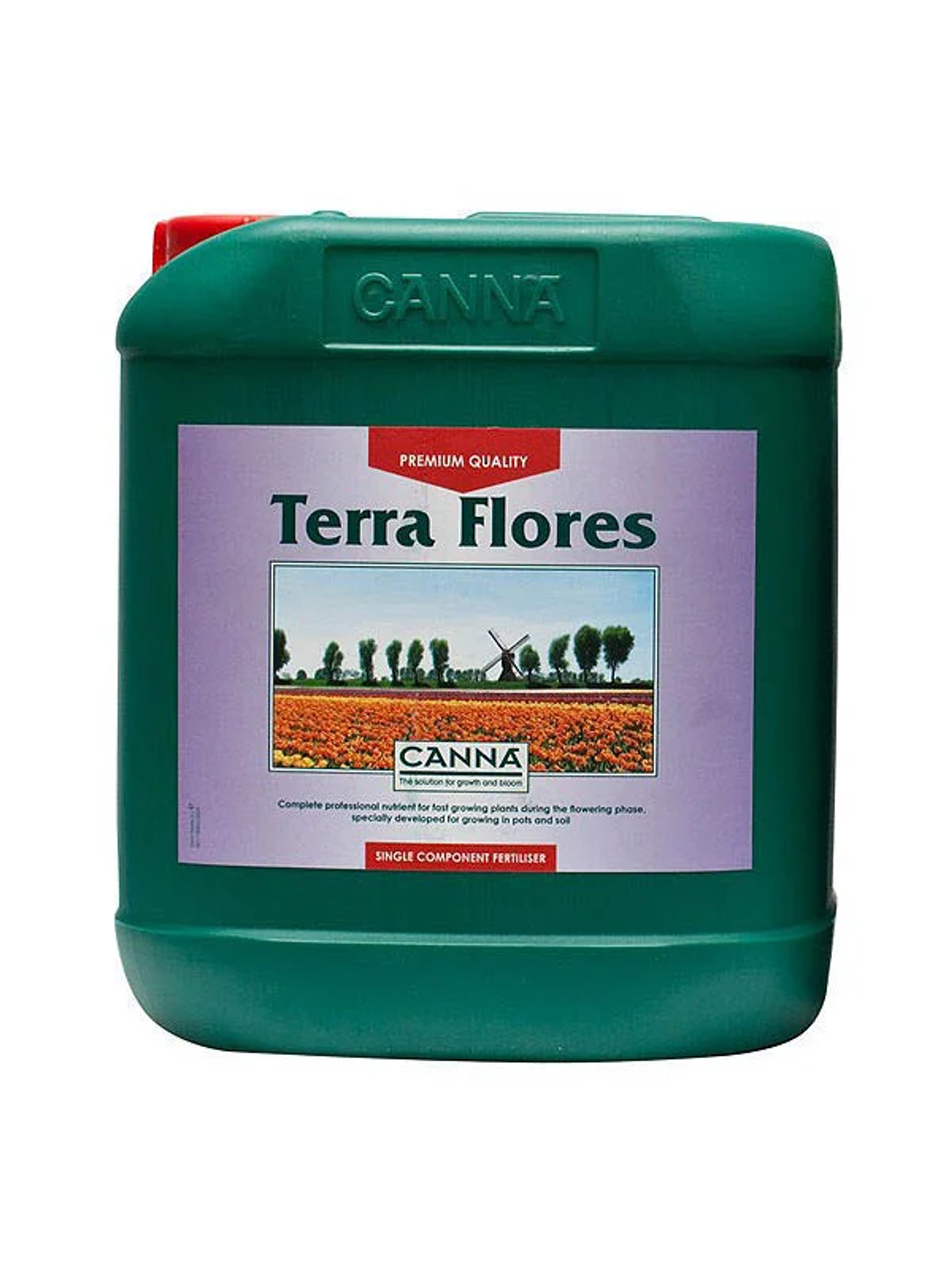 Terra Flores 1Lt-Canna 3