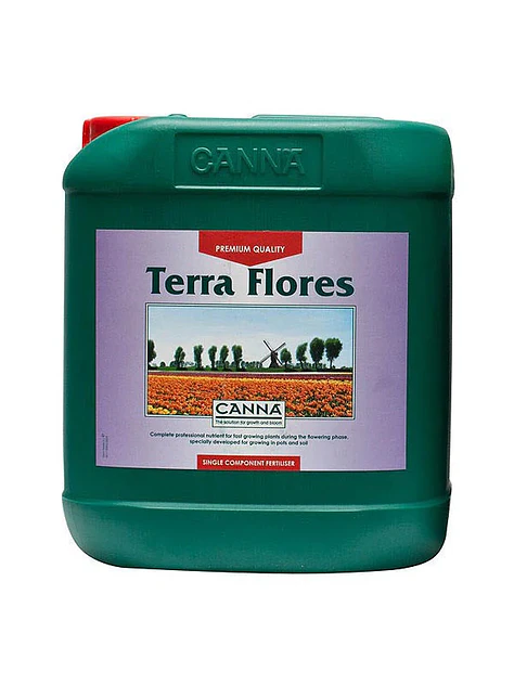 Terra Flores -Canna 3