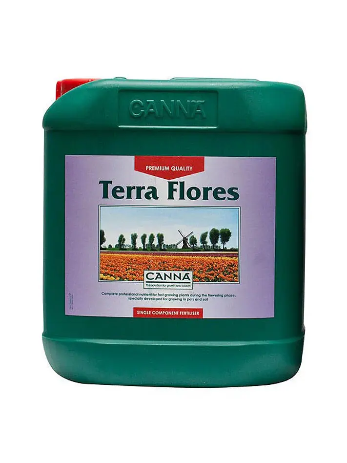 Terra Flores -Canna 3