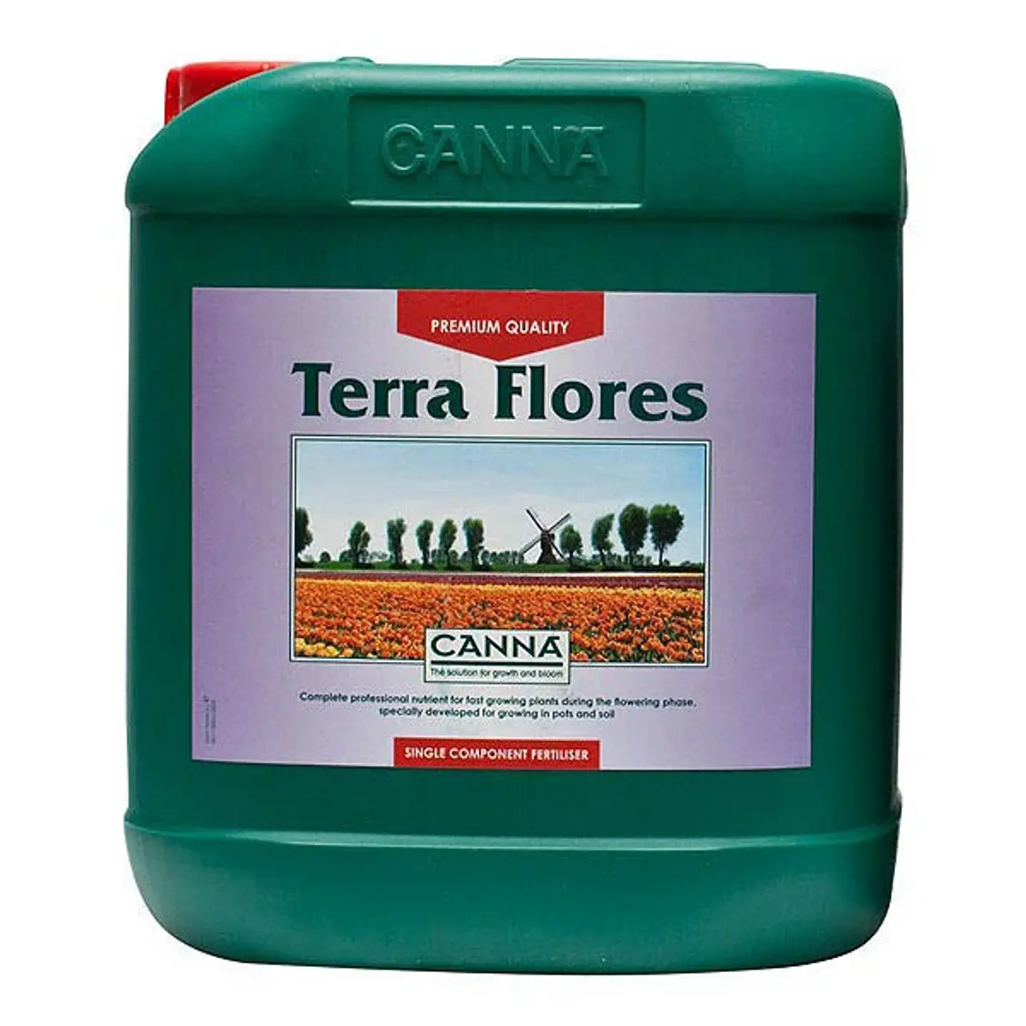 Terra Flores -Canna 3