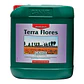 Terra Flores -Canna - Miniatura 3
