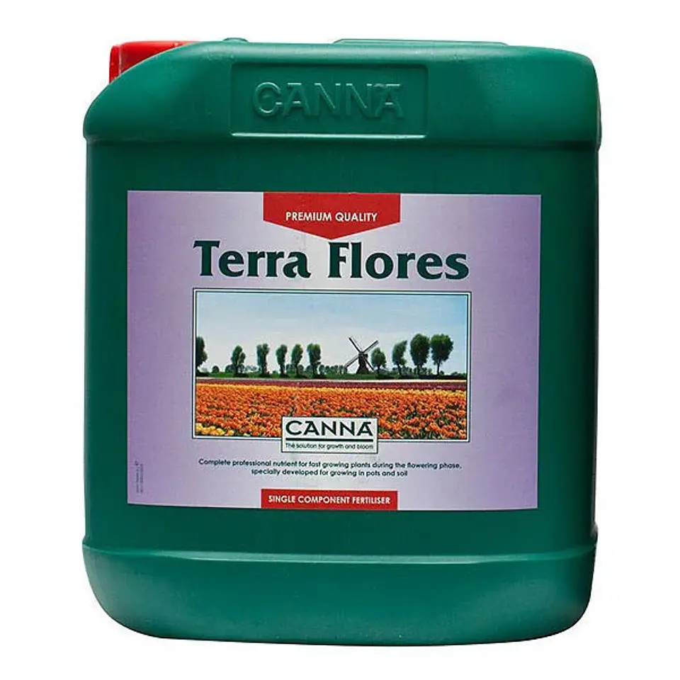 Terra Flores -Canna 3