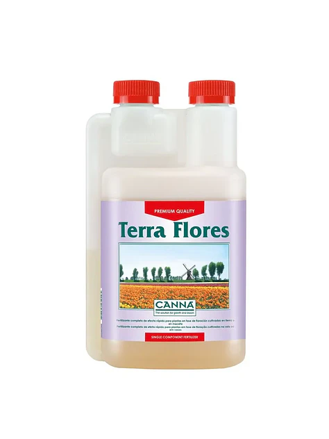 Terra Flores -Canna 4