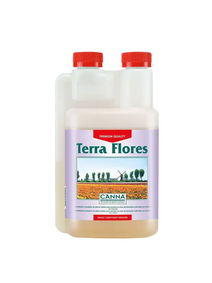 Terra Flores -Canna 4
