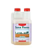 Terra Flores -Canna - Miniatura 4
