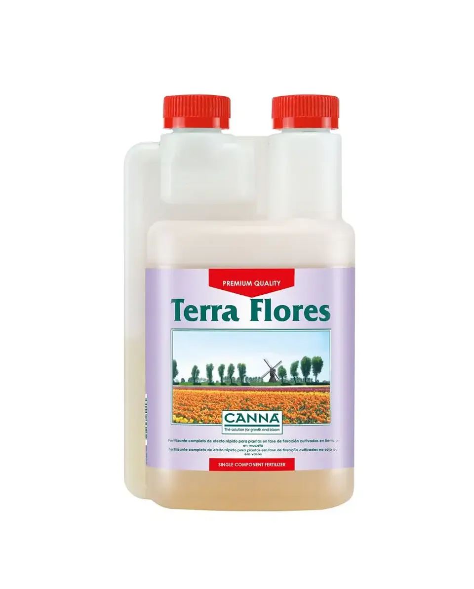 Terra Flores -Canna 4