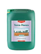 Terra Flores -Canna - Miniatura 5