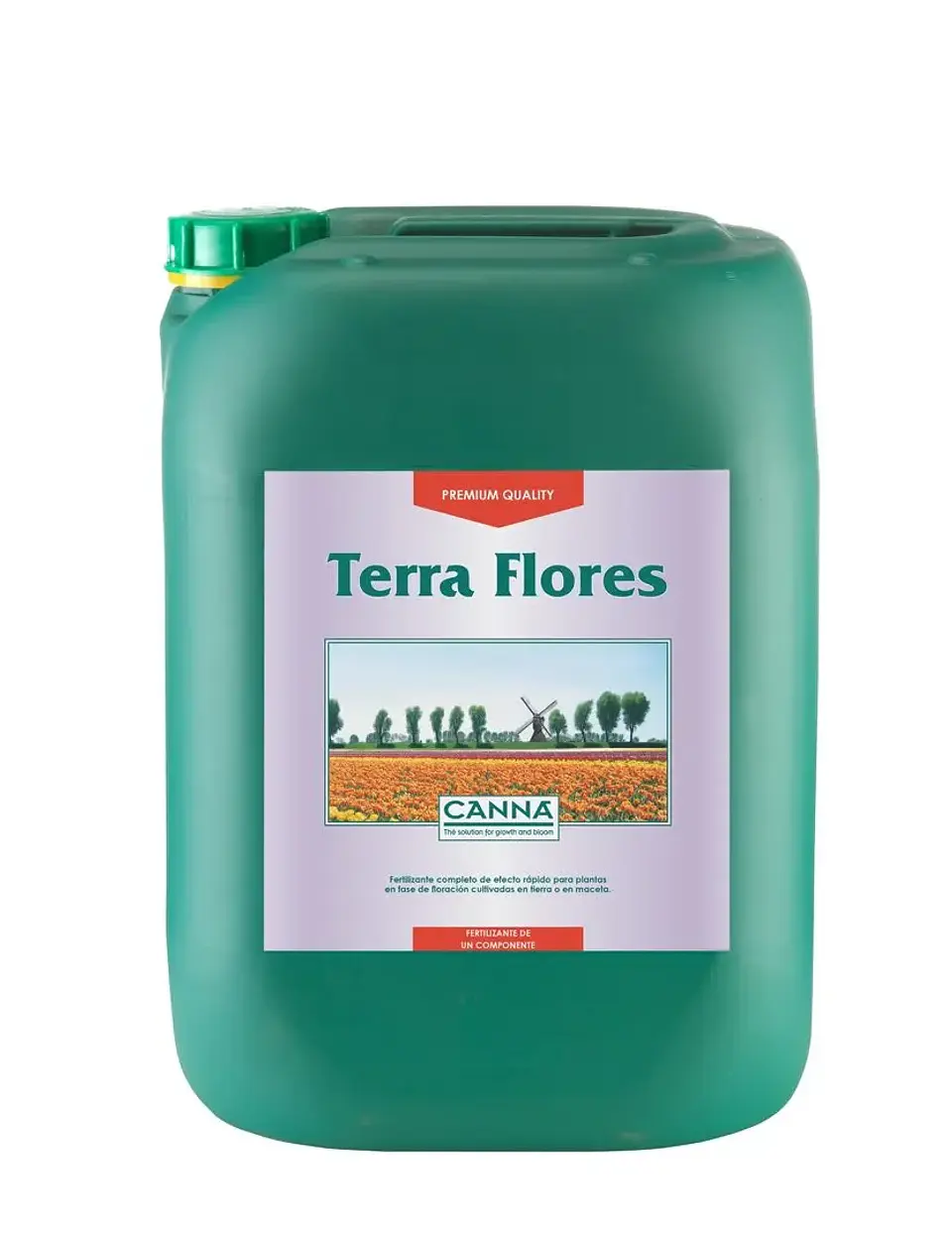 Terra Flores -Canna 5