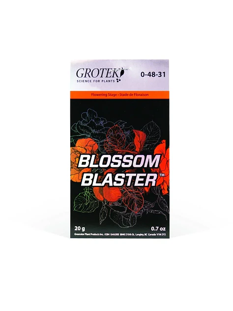 Blossom Blaster -Grotek 2