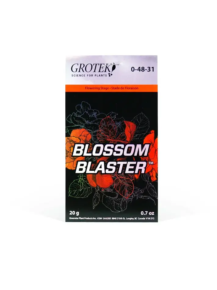 Blossom Blaster -Grotek 2