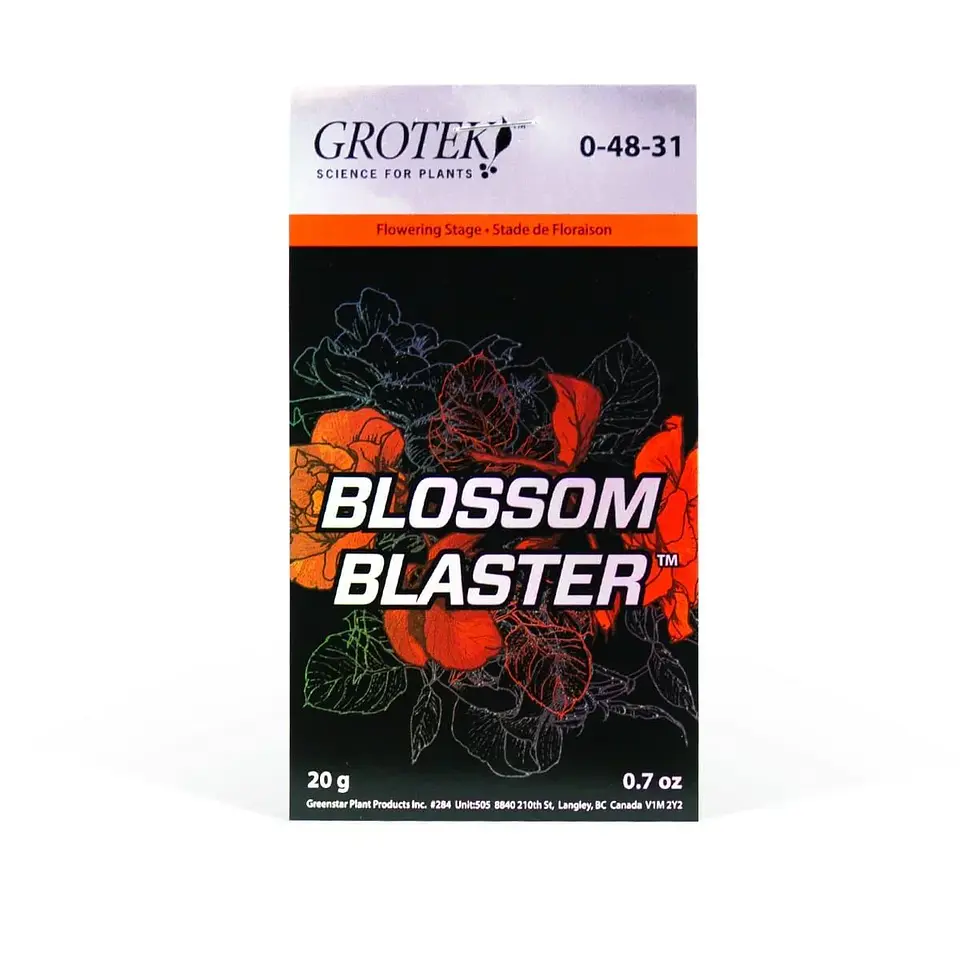 Blossom Blaster -Grotek 2