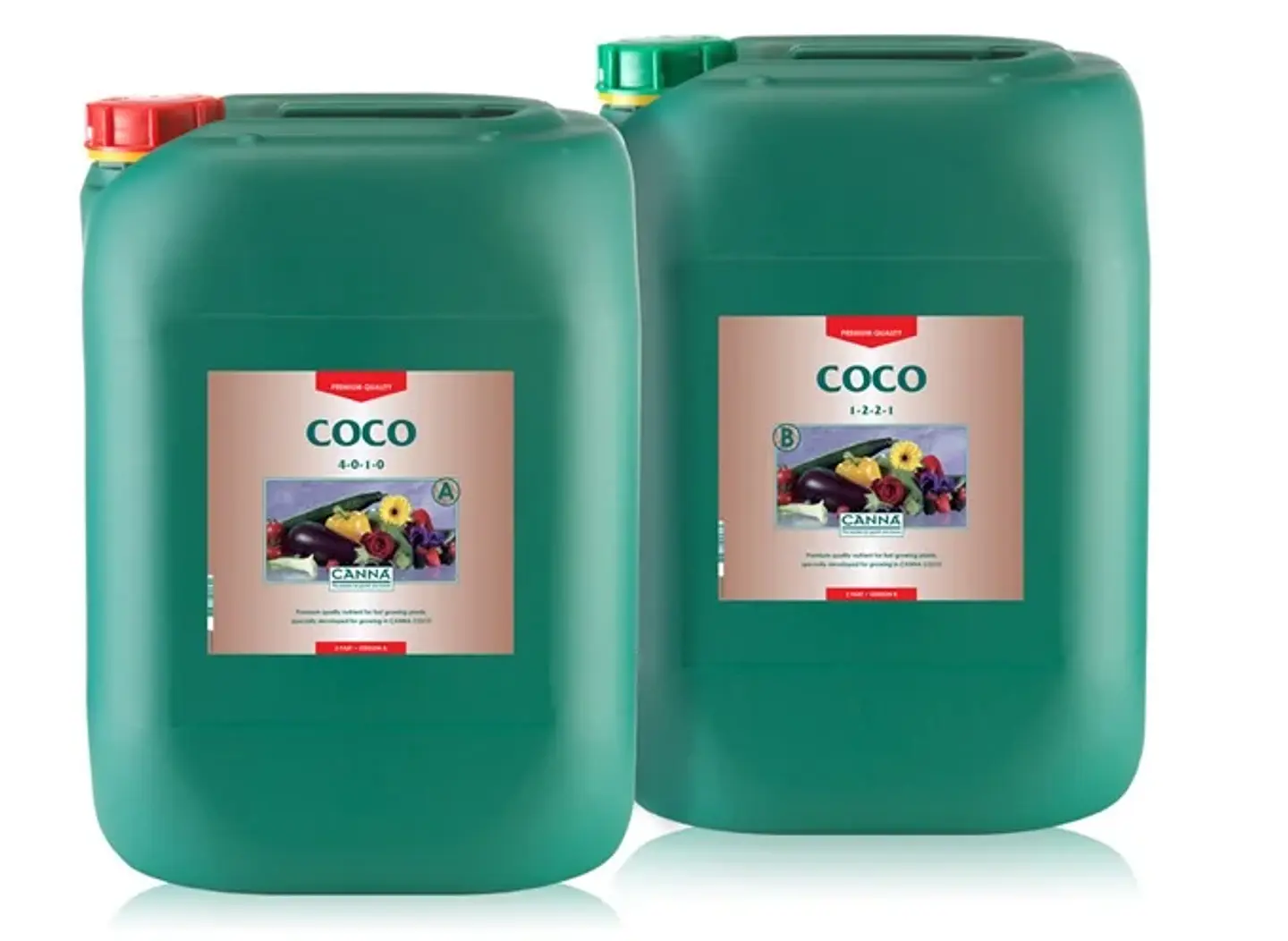Coco A + B -Canna 4