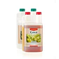 Coco A + B -Canna - Miniatura 5