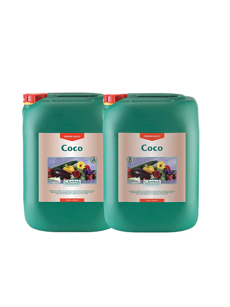 Coco A + B -Canna 6