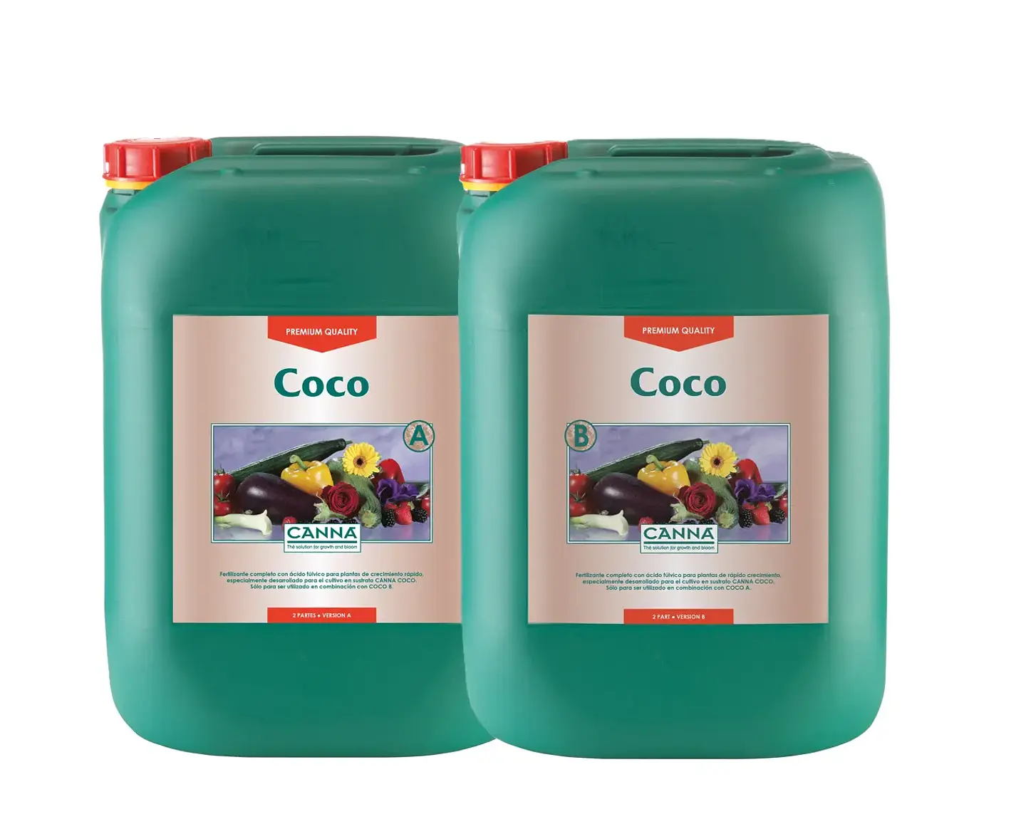 Coco A + B -Canna 6