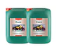 Coco A + B -Canna - Miniatura 6
