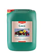 Coco A + B -Canna - Miniatura 7
