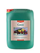 Coco A + B -Canna - Miniatura 8