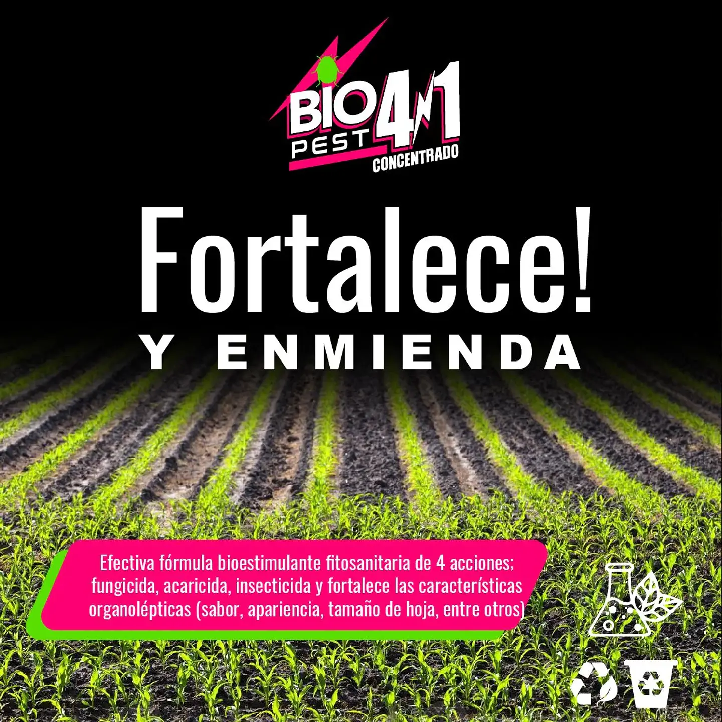 Recarga Antiplaga Concentrado 4 En 1 1Lt-Biopest 12
