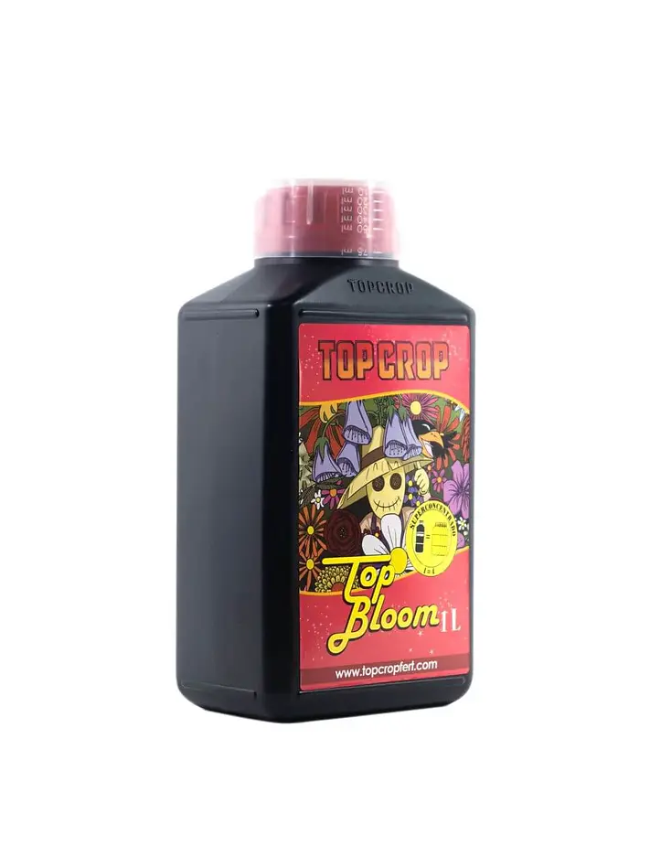 Top Bloom -Top Crop 2
