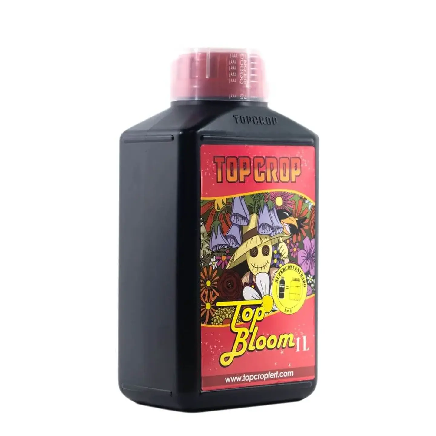 Top Bloom -Top Crop 2